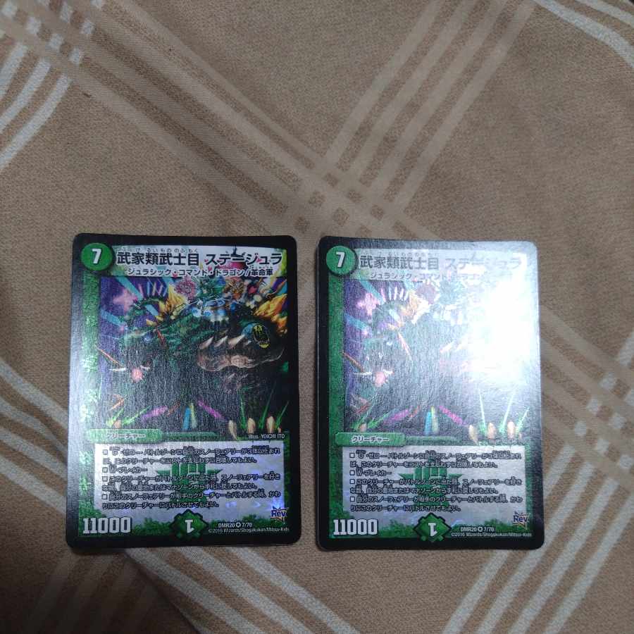 Samurai family Samurai order Stejura VR 7/70