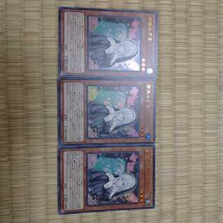 Ghost Sister & Spooky Dogwood