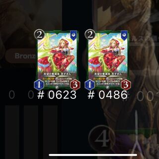 赤ずきん　2枚セット