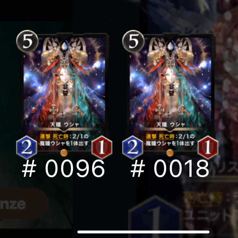 ウシャ　2枚セット