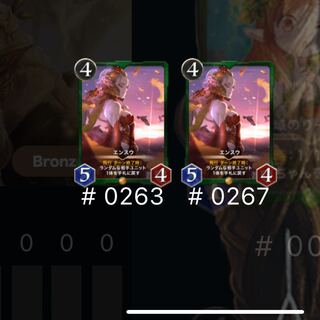 エンスウ　2枚セット