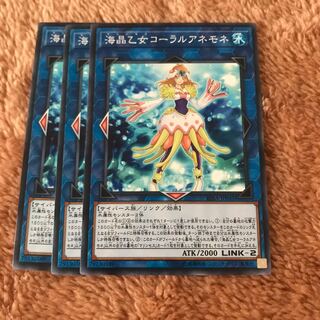 マドレース 海晶乙女コーラルアネモネ