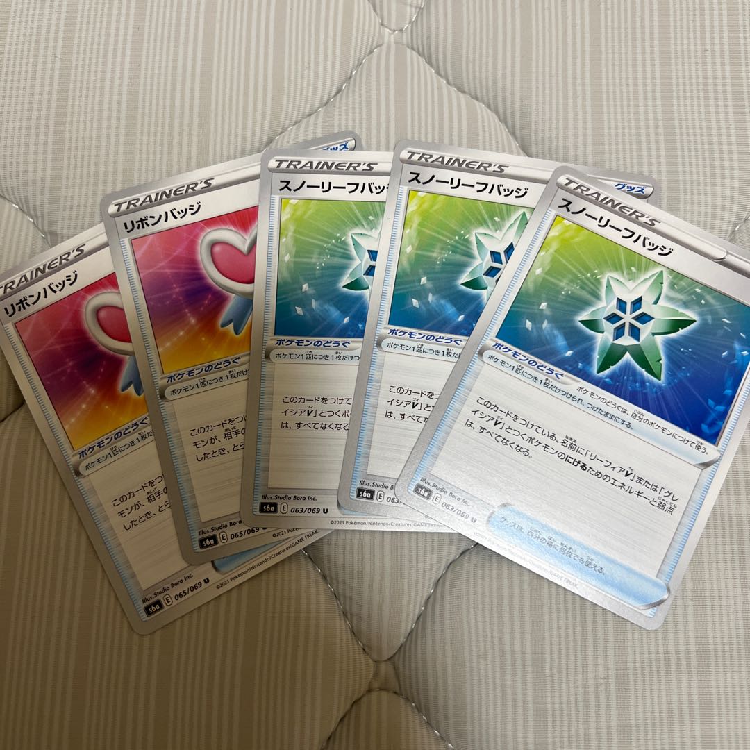 Set of 2 ribbon badges and 3 snow leaf badges