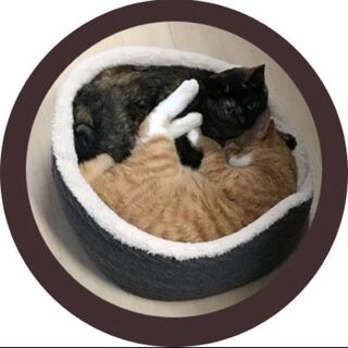 激アツ1000円オリパ