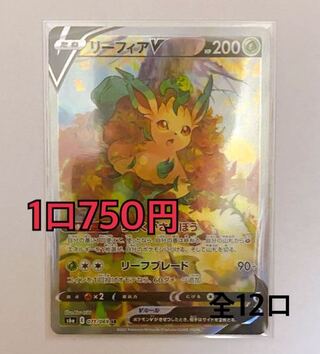 リーフィアオリパ!!全12口