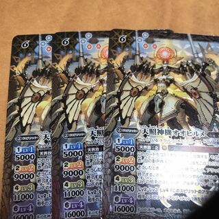 オオヒルメ 1枚