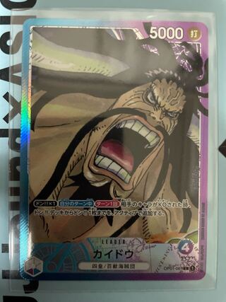 ONE PIECE romance Dawn Kaidou Parallel