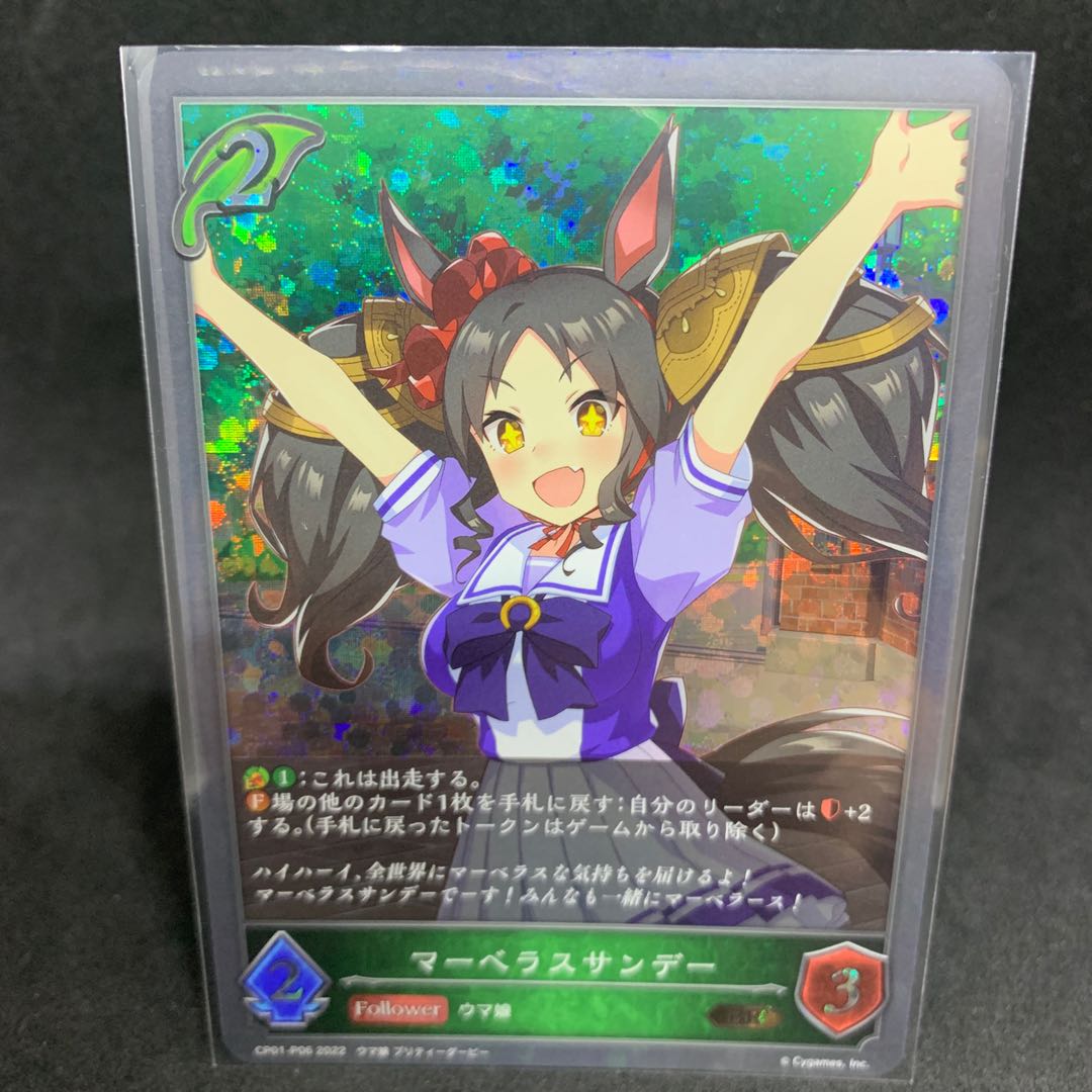 BR・Premium Marvelous Sunday P06