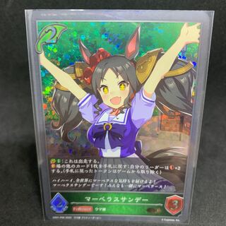 BR・Premium Marvelous Sunday P06