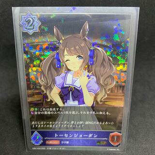 Exclusive for Mr. AI! BR, Premium Tosen Jordan P29, Mejiro Palmer