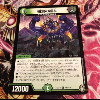 Psychic person of arboreal food R 19/110