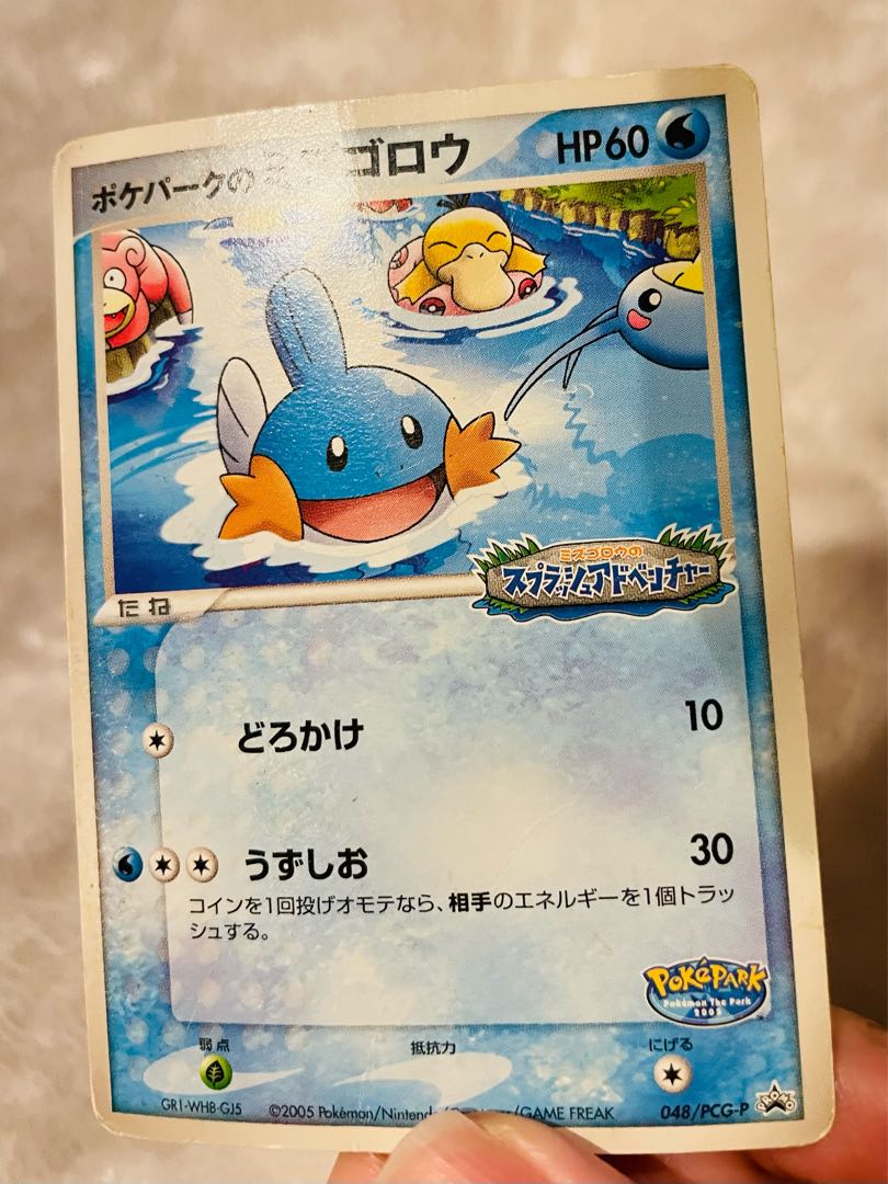 Mudkip set (for Mr. Yahogoro)