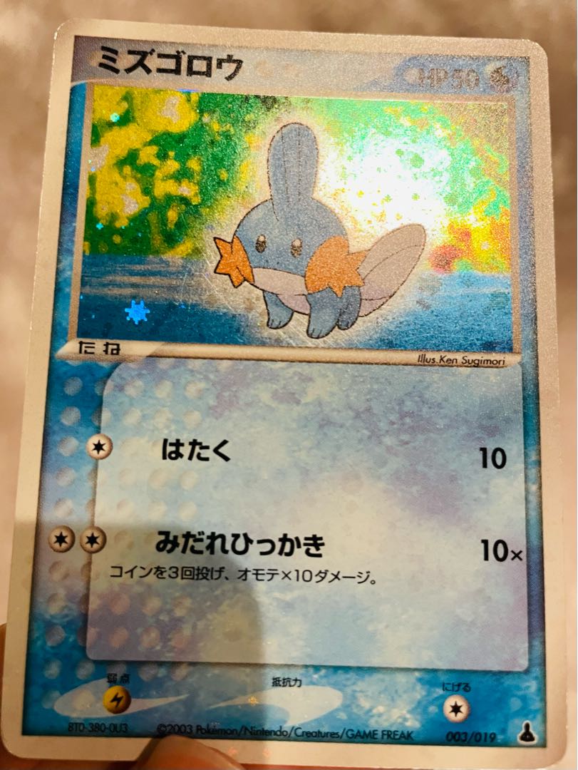 Mudkip set (for Mr. Yahogoro)