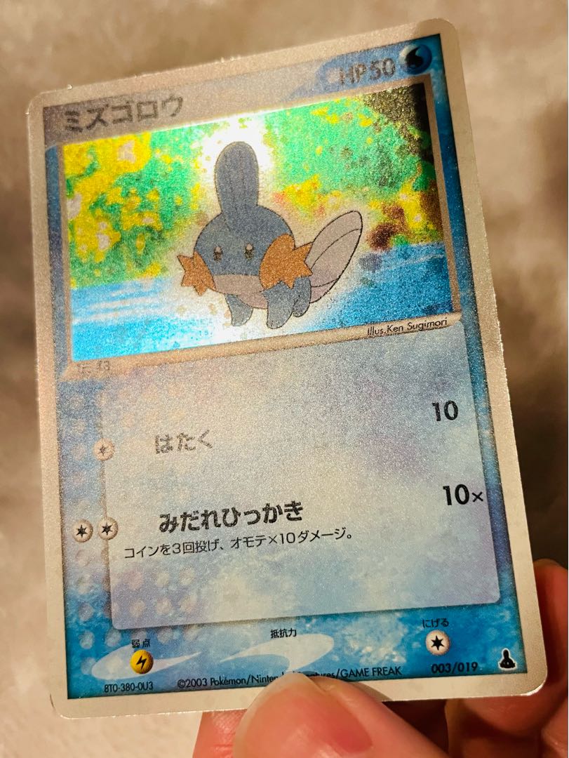 Mudkip set (for Mr. Yahogoro)