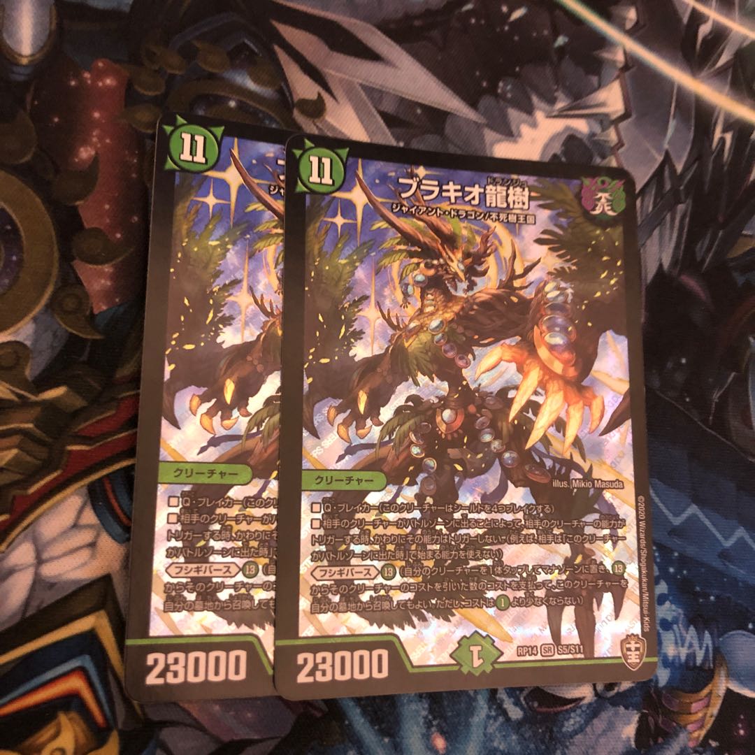 Ryuki Brachio SR S5/S11