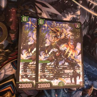 Ryuki Brachio SR S5/S11