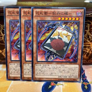 No.1160 P shop HANAFUTAGE - Peony and butterfly - [no