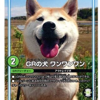 ワンワンワン 専用