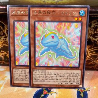 No.1173 P shop Secret stone of Water world - Catlin [Rare