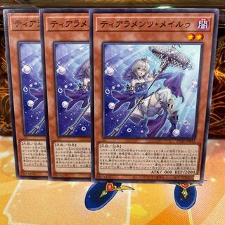 No.1178 P shop Tiaraments Rosa Lu [no