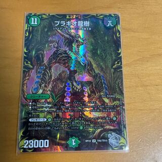 Ryuki Brachio SR S5/S11