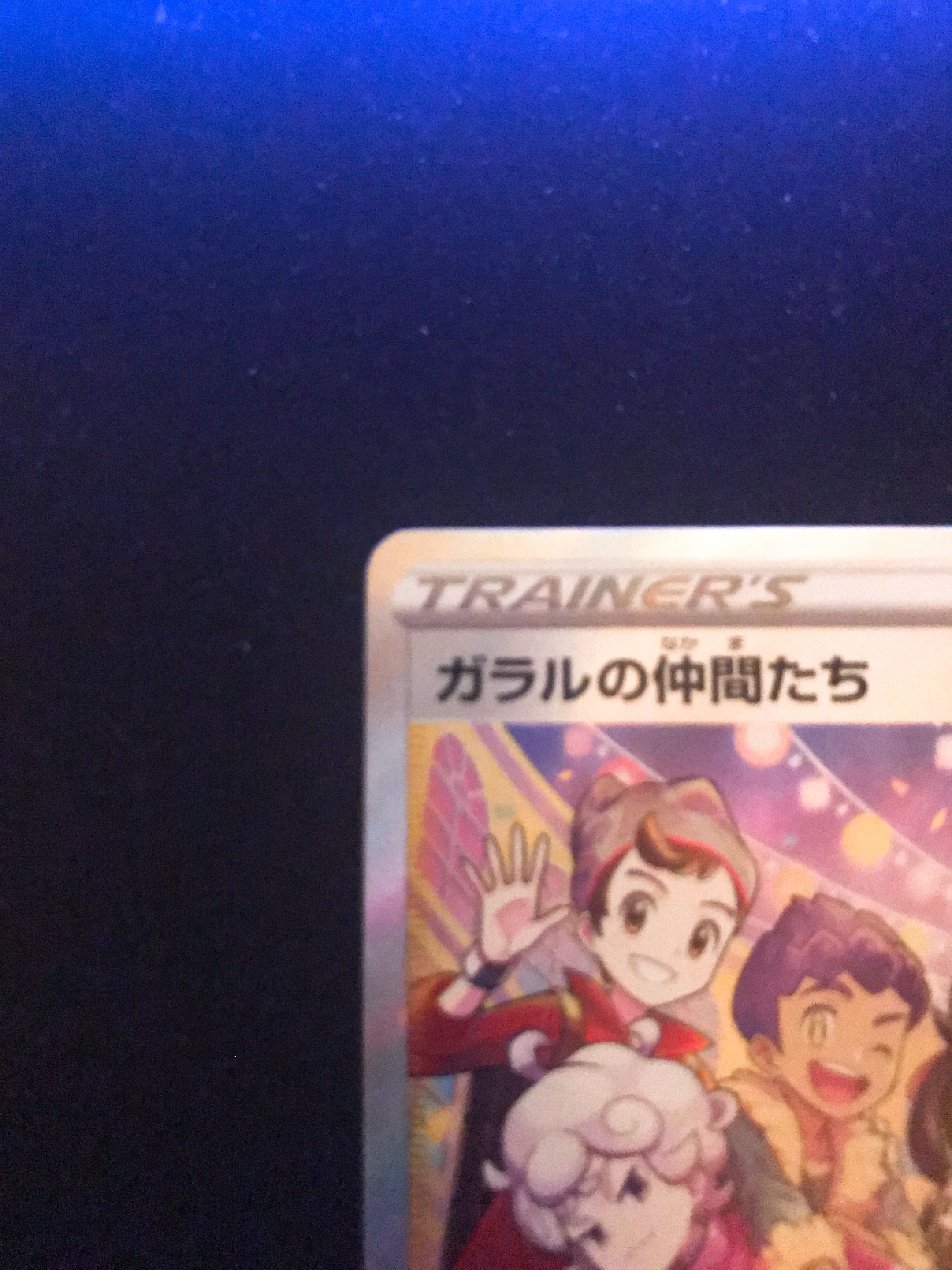 Friends of Galal SR 258/184 Beauty