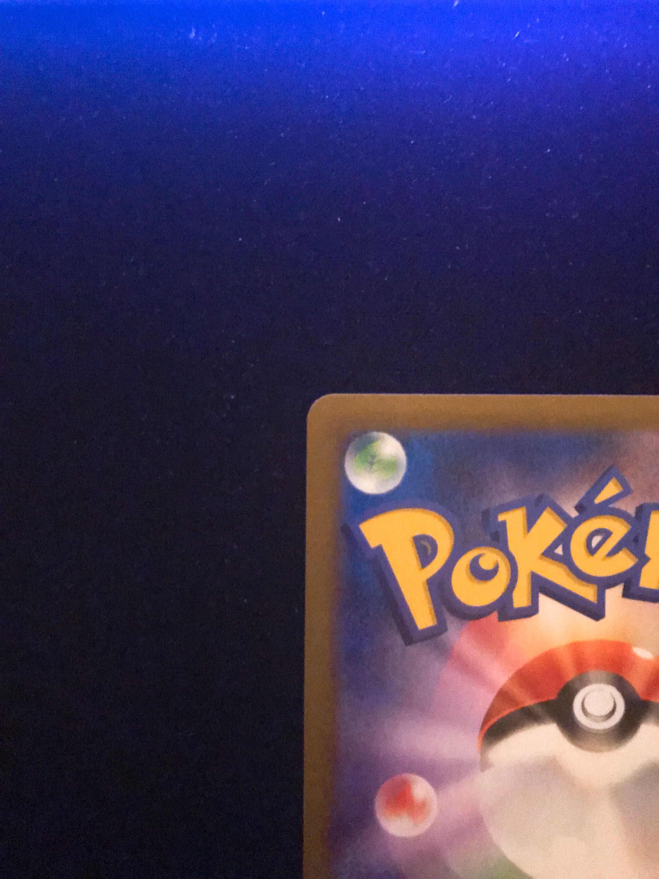 Friends of Galal SR 258/184 Beauty