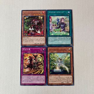 Aroma] Deck parts: Available in pieces Aromage - Jasmine