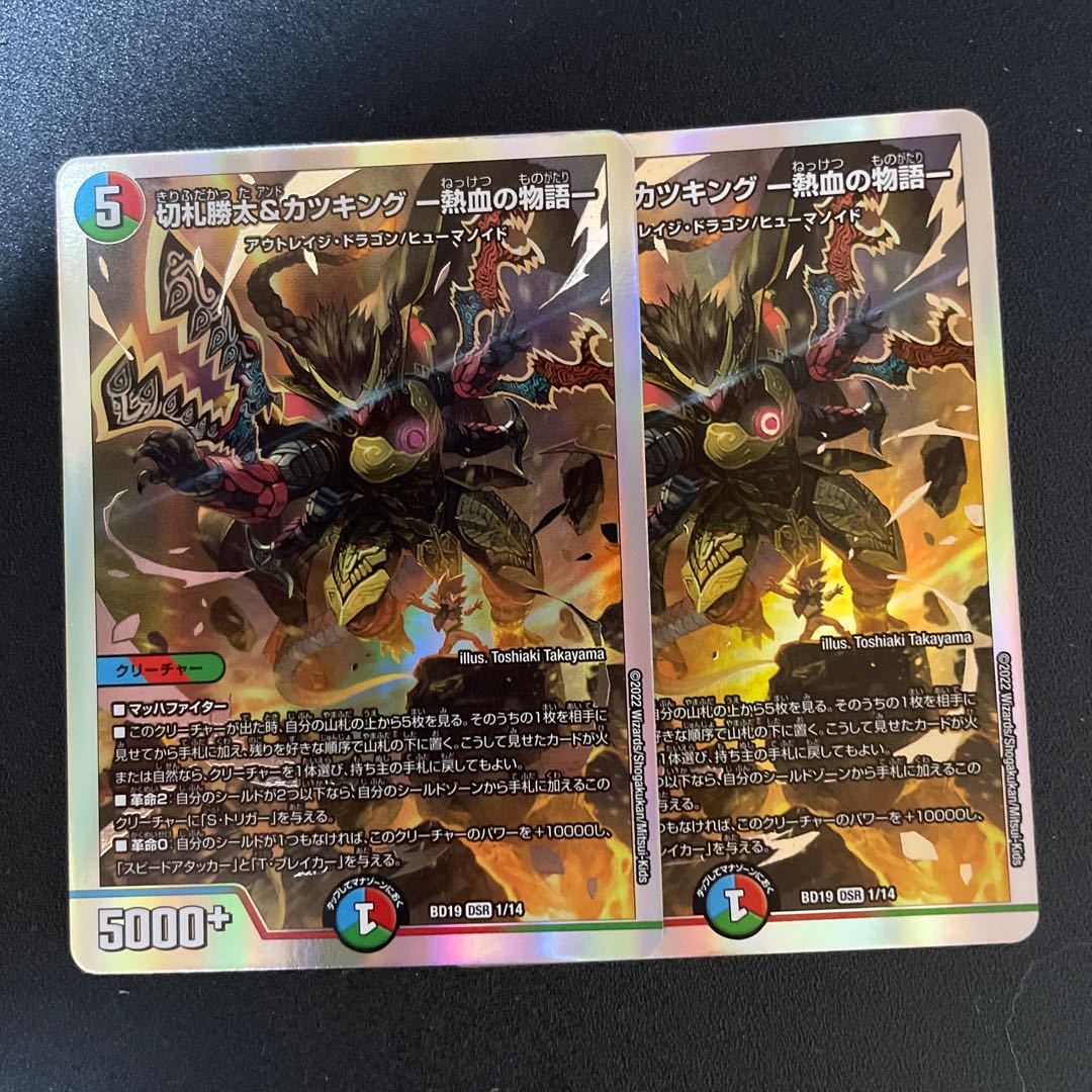 切札勝太&カツキング -熱血の物語- DSR 1/14