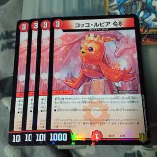 Set Discount Cocco LupiaGS 6/14 Set of 4