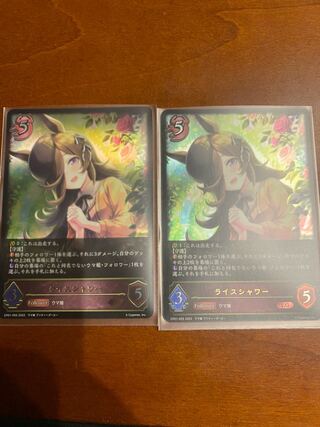 Rice Shower LG 2 sheets