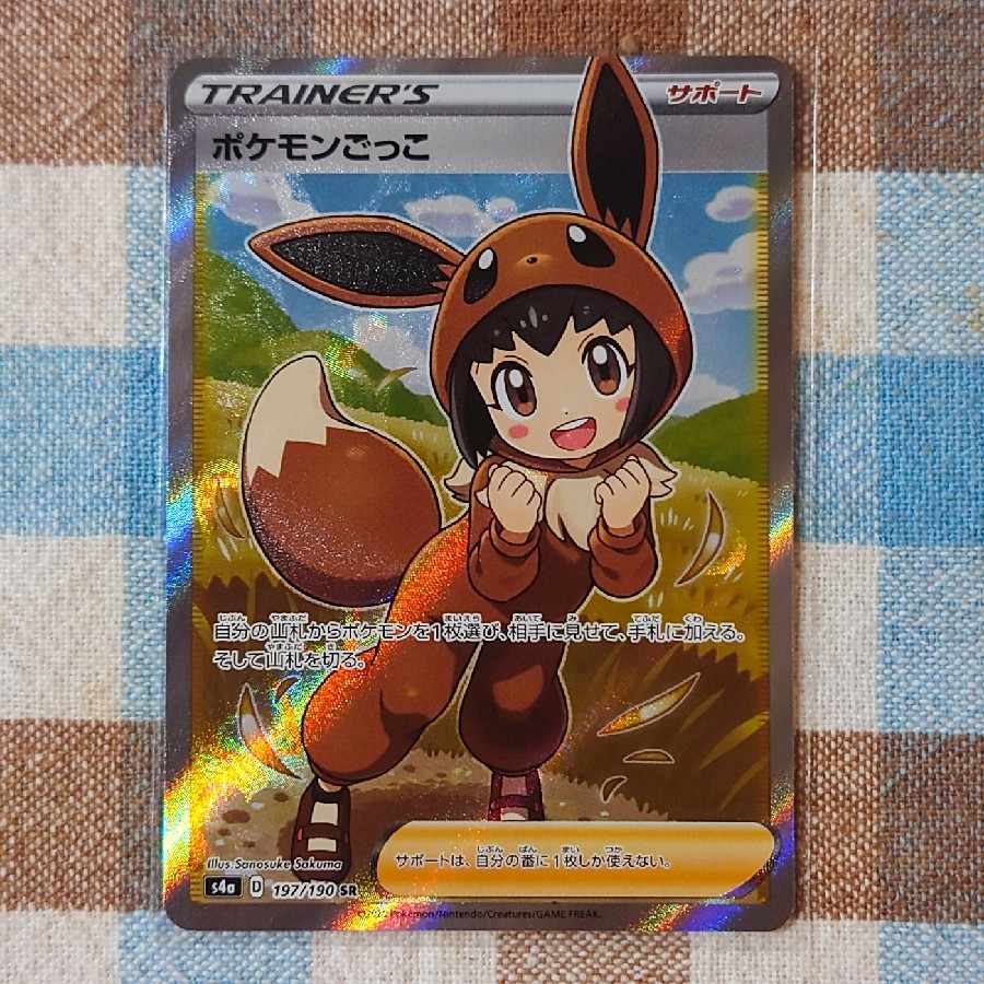 Pokéka Poké Kid SR 197/190
