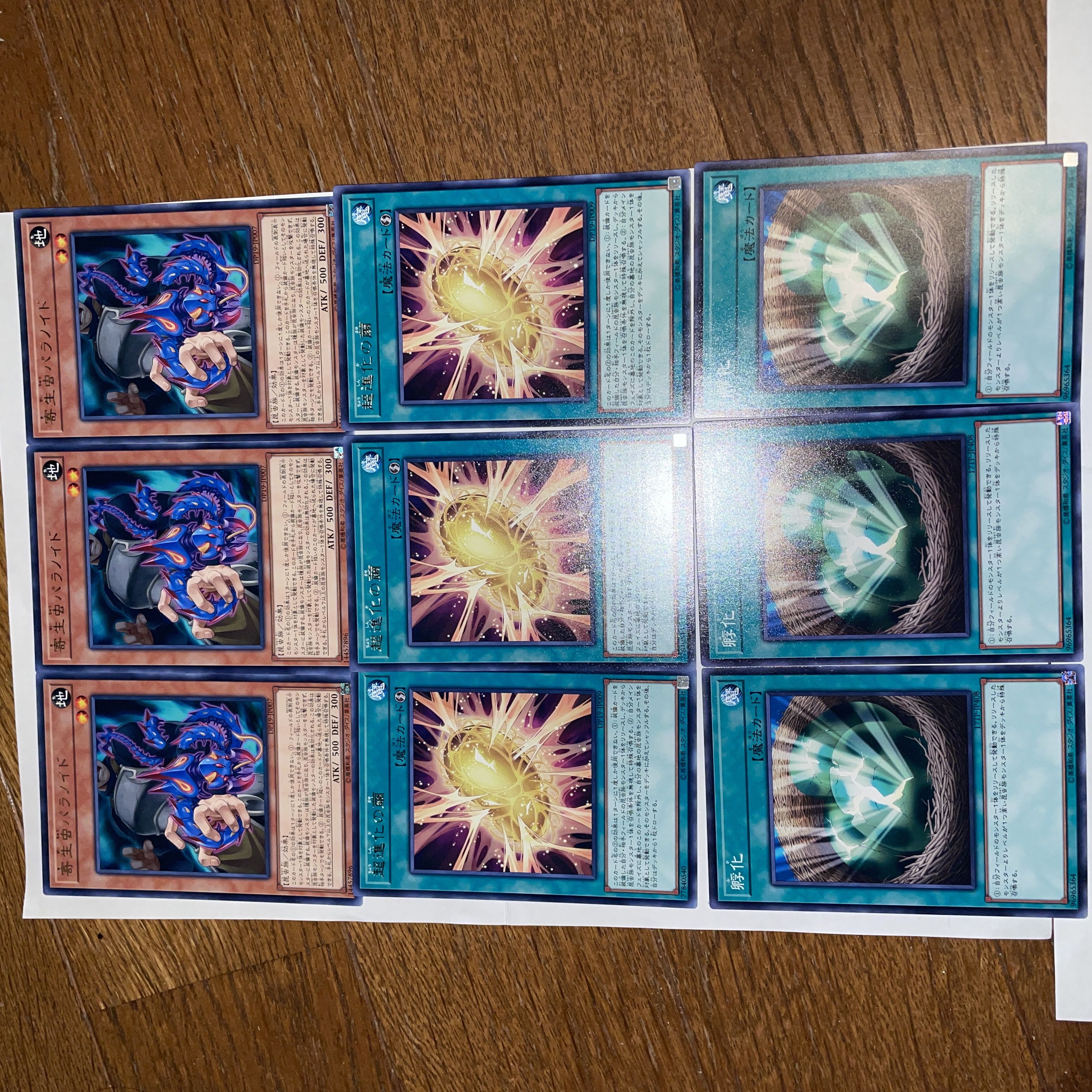 遊戯王 寄生虫パラノイド×3枚 超進化の繭×3枚 孵化×3枚