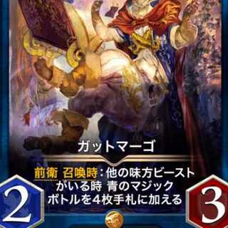 ガットマーゴ×２枚