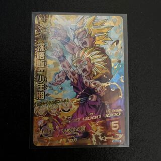 Son Gohan Boyhood H2-16 CP