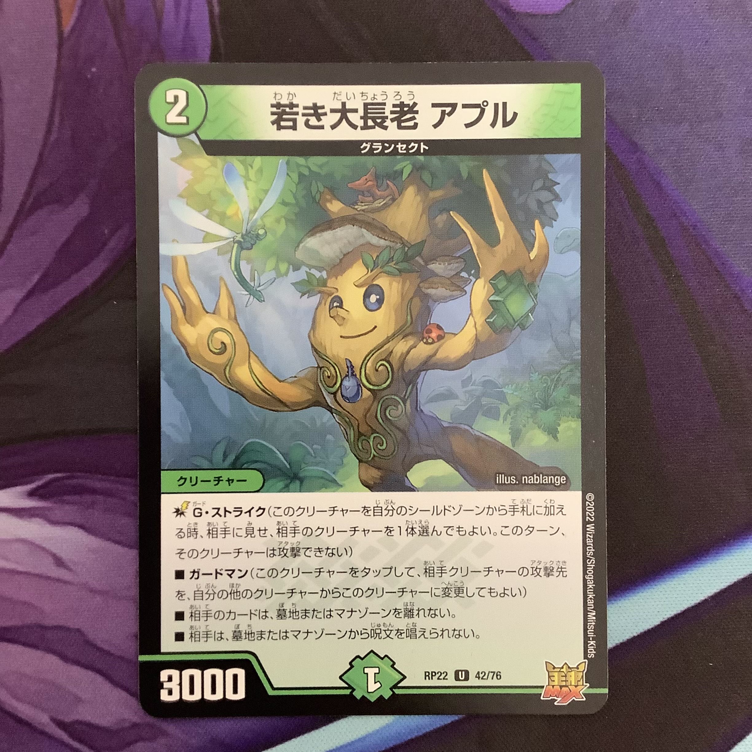 Young Grand Elder Apul 1 piece