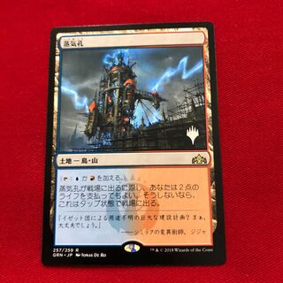 蒸気孔　プロモ