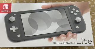 Nintendo Switch Light 本体