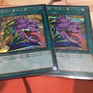 強欲で貪欲な壺　シク　2枚　TDIL版+RC02版