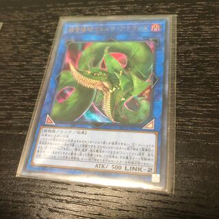 遊戯王　捕食植物ヴェルテ・アナコンダ　UR