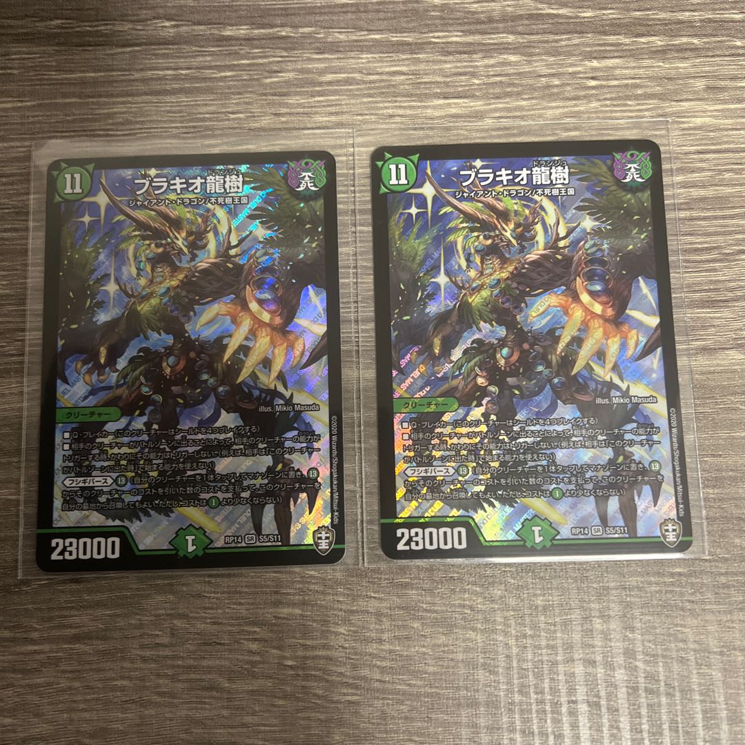 Ryuki Brachio SR S5/S11