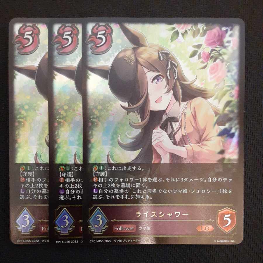 Rice Shower LG 3 sheets