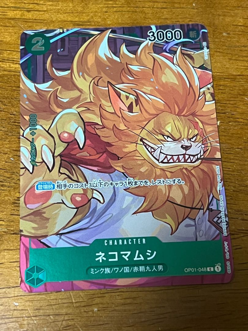 Pseudobagrus ichikawai (species of catfish)