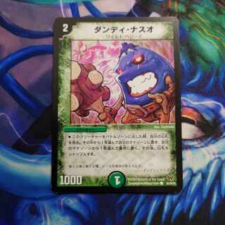 ダンディ・ナスオ C 82/84/Y8 1枚