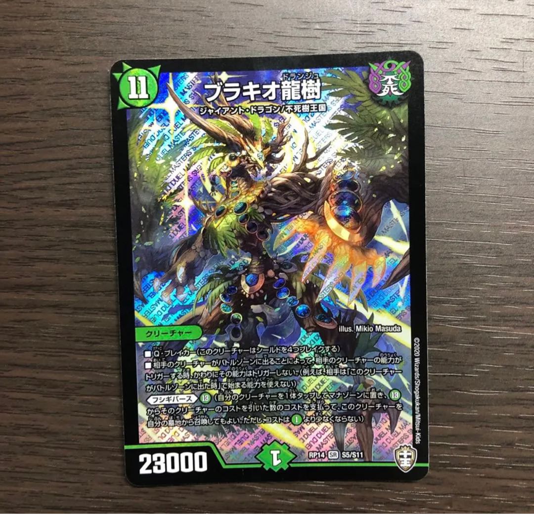 Ryuki Brachio SR S5/S11