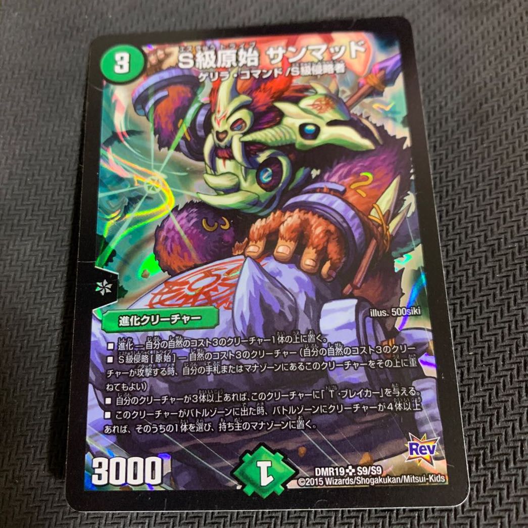 Class S Primitive Sunmad SR S9/S9 1 piece