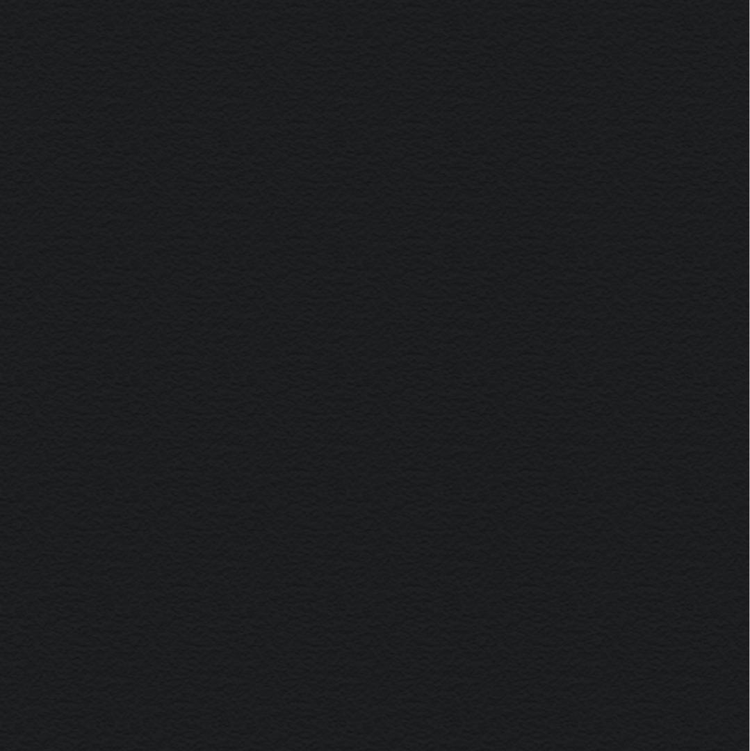 ホッティ様専用