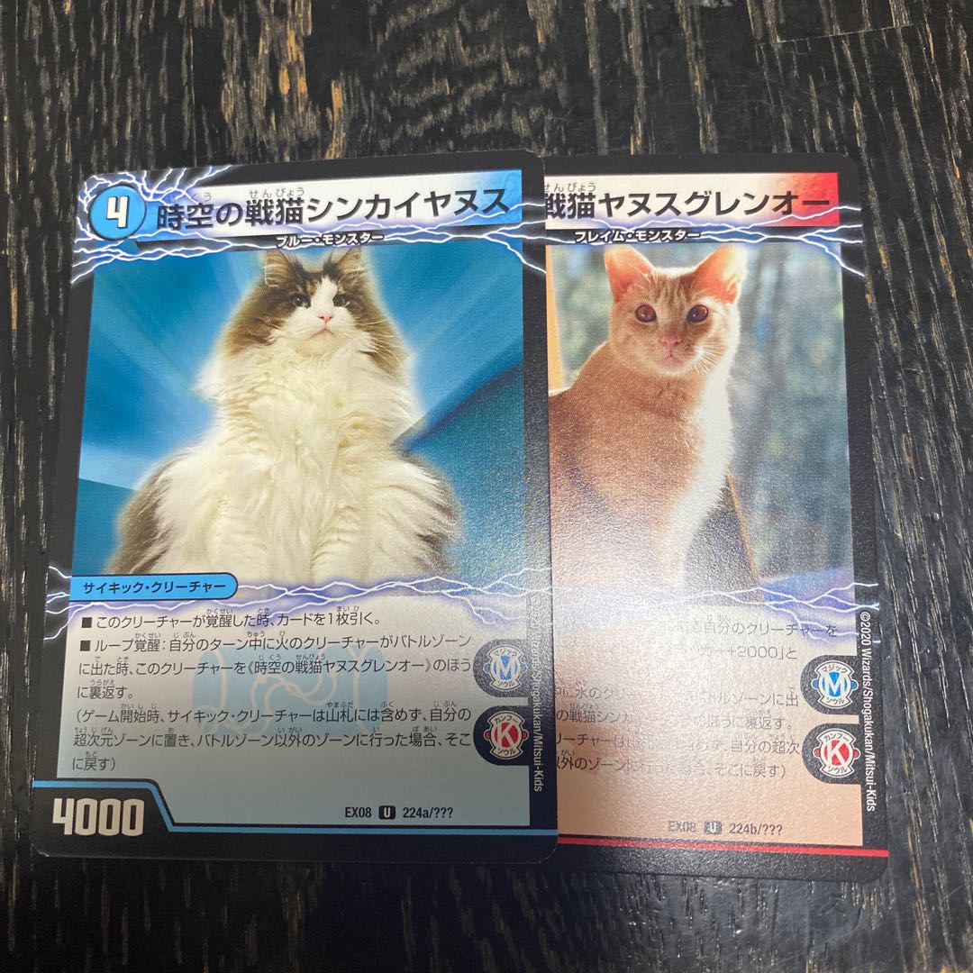 時空の戦猫シンカイヤヌス/時空の戦猫ヤヌスグレンオー