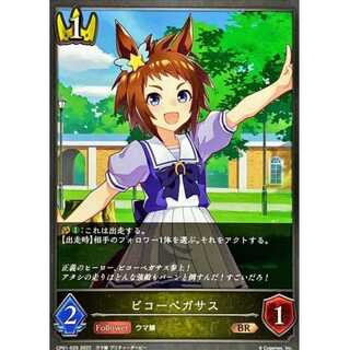 Up to 3 Vicor Pegasus BR