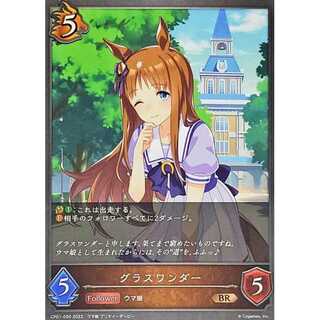 Glass Wonder BR up to 3 pieces